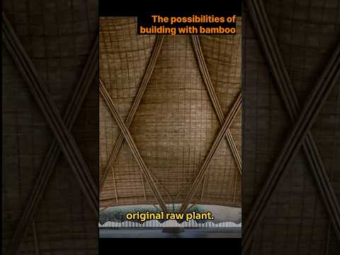 The Future of Building with Bamboo #bambooarchitecture #architecture #podcast