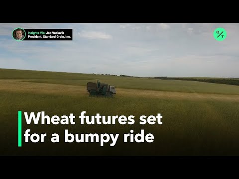 Wheat prices surge on dry weather